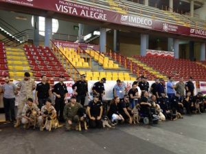 Neden Emekli Bir Polis Köpeğini Sahiplenmelisiniz