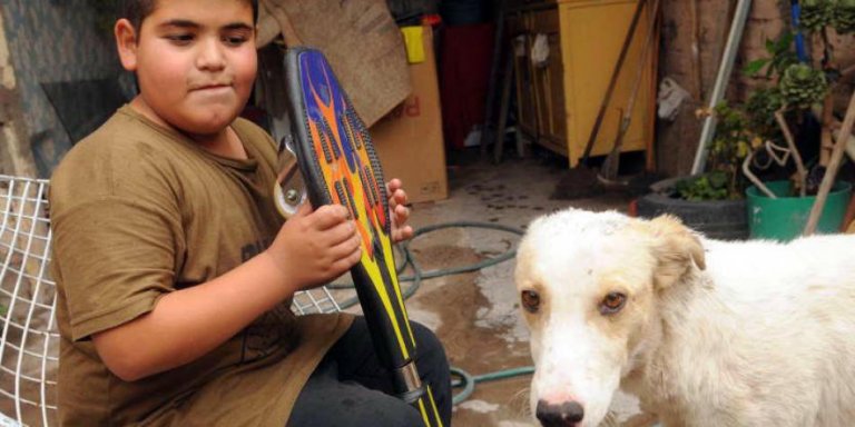 sokak köpeği ve çocuk