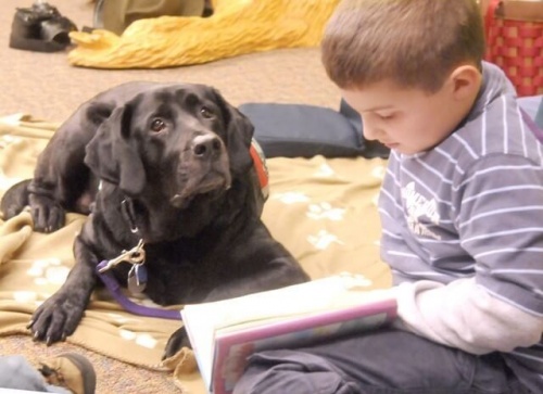 kitap okuyan çocuk ve köpeği