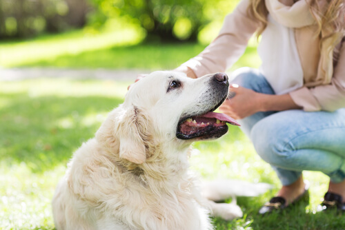 sarışın kadın ve köpek