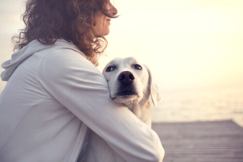 birbirine sarılmış köpek ve sahibi