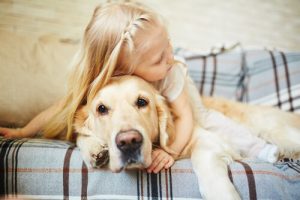 Dikkat: Köpeğinize Neden Sarılmamalısınız?