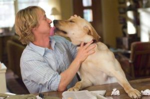Köpekleri Konu Alan Tüm Zamanların En İyi 5 Filmi