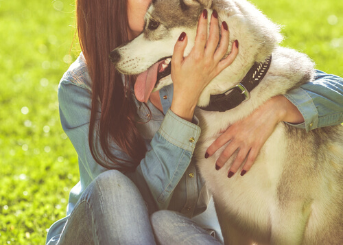 köpeği insanlaştırmak