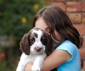 Köpeklerin De Duyguları Olduğu Bilimsel Olarak Kanıtlandı