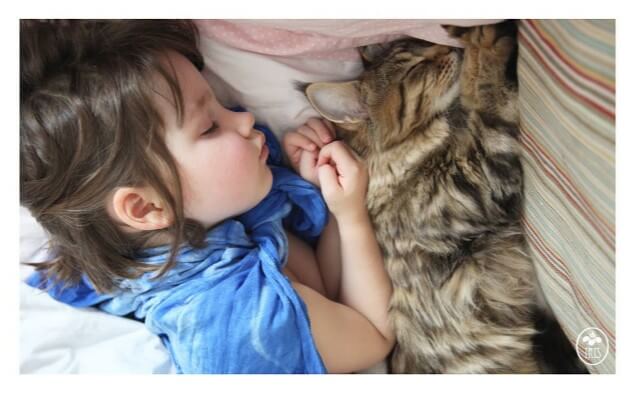 Kedisi ile uyuyan kız