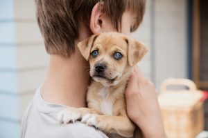 Köpeklerin Astımlı Çocuklara Faydaları