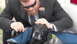 Denizcilerden Hizmet Köpeği Cena'ya Güzel Bir Veda