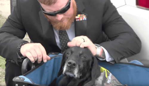 Denizcilerden Hizmet Köpeği Cena’ya Güzel Bir Veda