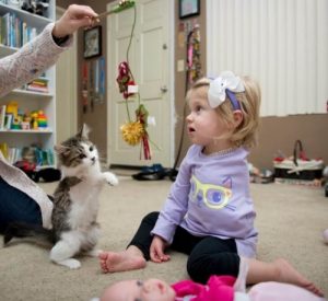 Kolu Kesilen Küçük Kız ile Üç Ayaklı Kedinin Dostluğu