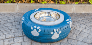 Köpeğinizin Su Kabını Kendiniz Yapın