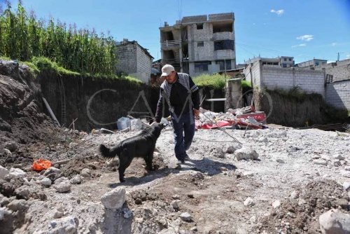 deprem sonrası sahibi köpek