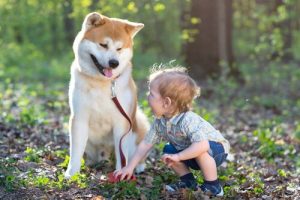 Rehber Köpekler İşitme Engelli Bir Çocuğun Hayatını Nasıl Değiştirir