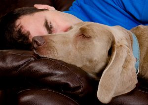 Köpeğinize Sakın İnsanmış Gibi Davranmayın!