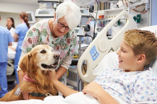 Terapi Köpekleri Hastanede Yatan Çocuklara Nasıl Yardım Eder?