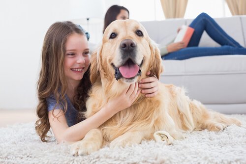 köpeğe sarılan çocuk
