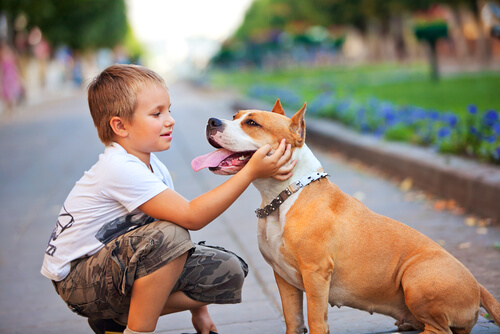 köpeği seven çocuk