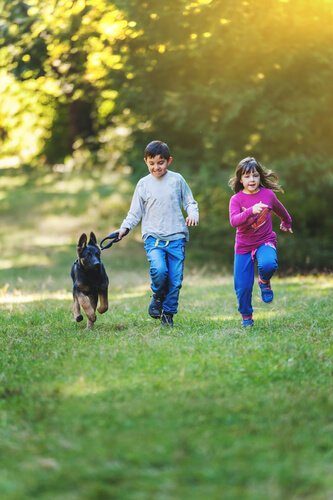 çocuklar ve alman çoban köpeği