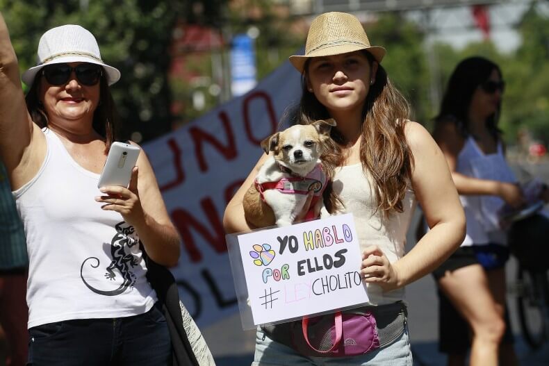 miting yapan iki insan ve köpek
