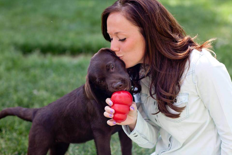 yavru köpek oyun oynuyor