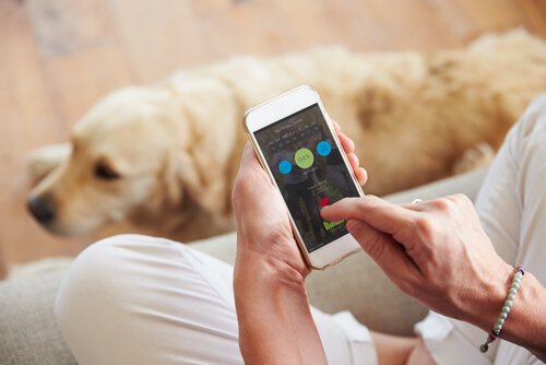 köpekler için mobil uygulamalar