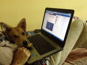 Köpeğinden Ayrılmak İstemediği İçin Evlilik Teklifini Reddeden Kızın Hikayesi