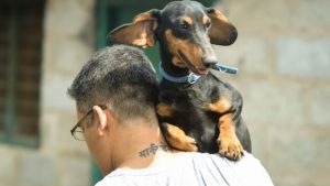 insanın omzunda köpek