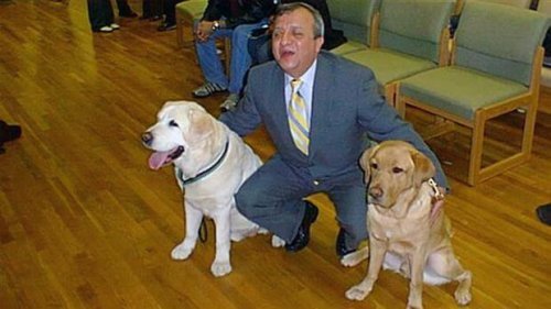 11 Eylül Saldırılarında Sahibinin Hayatını Kurtaran Rehber Köpek