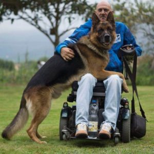 Lobo'nun koşulsuz sevgisi