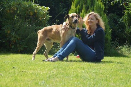 Sokak Köpeği Sahiplenen Hostes: Olivia ve Rubio