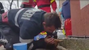 Suni Solunumla Köpeğin Hayatını Kurtaran İtfaiyeci