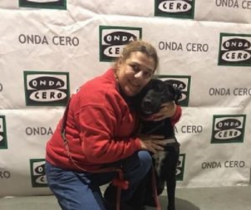 kızıl haç terapi köpeği