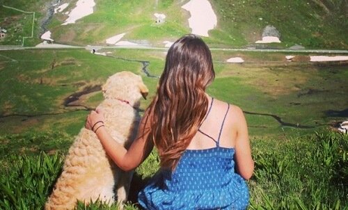 arkası dönük oturmuş köpek ve sahibi