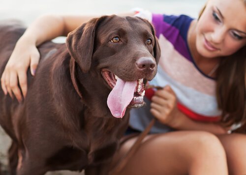 koruma köpekleri ve kadınlar