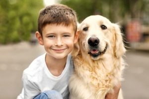 Aile Dostu Köpek Irkları