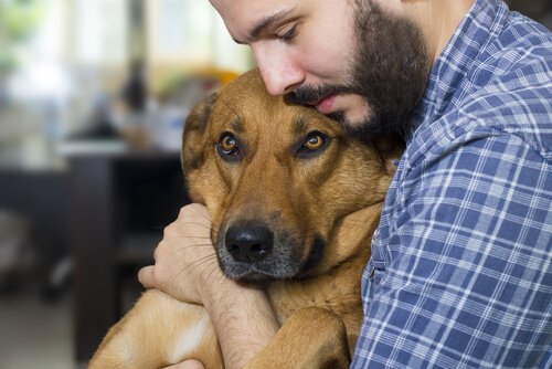 Köpeklerde Kanser Önlenebilir Mi?