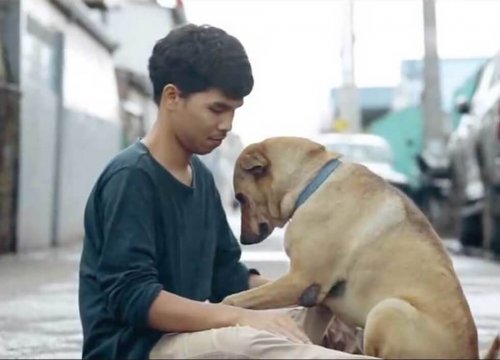 Genç Taylandlı, Sokak Köpeklerine Sarılma Kampanyası Başlattı