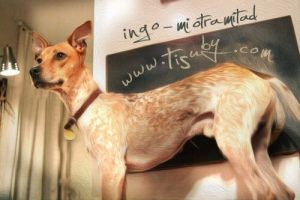 Venezuelalı Sanatçı Köpeğine Şarkı Yazdı