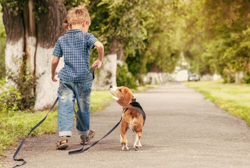 aile dostu köpek