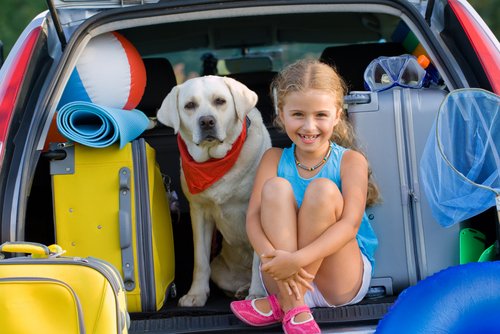 tatil köpek ve çocuk