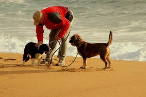 Köpeğinizle Koşuya Çıkarken Kullanabileceğiniz 10 Tavsiye
