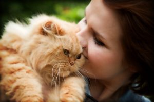 kucakta kedi