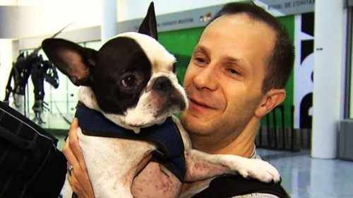 Pilot Bir Köpeğin Hayatını Kurtardı