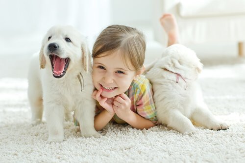 Evcil Hayvanlar Çocuk Sağlığına Faydalı