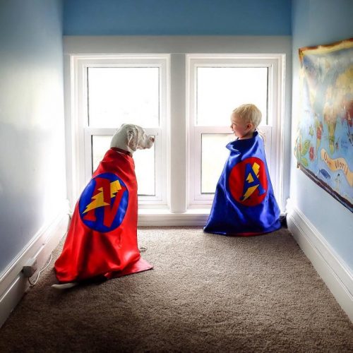 kostüm giymiş bebek ve köpek