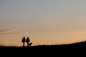 Tatilde Kaybolan Köpek Bob'un Hikayesi