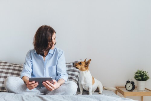 sahibi ve köpeği yatakta