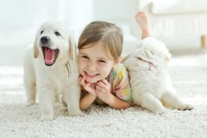 Çocuğum Hediye Olarak Köpek İsterse Ne Yapmalıyım?