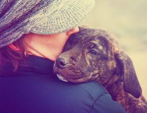 Neden Köpeklere Bebek Muamelesi Yapmamalısınız?