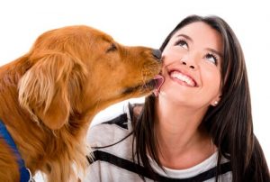 Köpeklerin Beden Dili: Sizi Sevdiğine Dair 8 İşaret